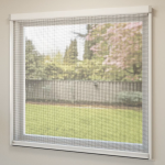 Window_Prima